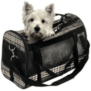 TRANSPORTVESKE RUTER, 2 størrelser