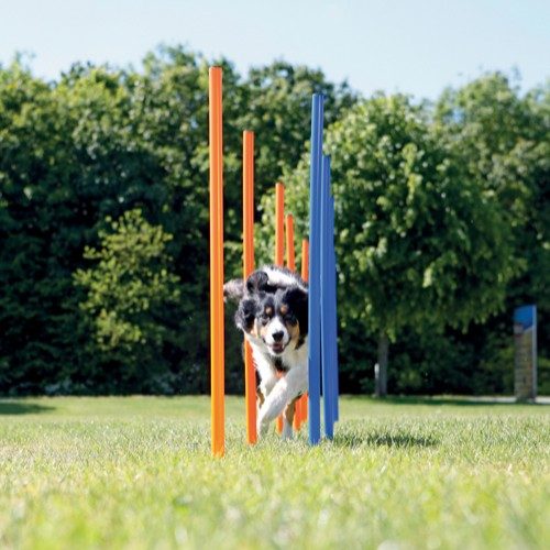 Trixie Agility Slalåm - Bilde 2