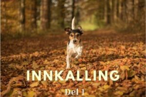 Innkalling del 1 hund i norge hverdagslydighet