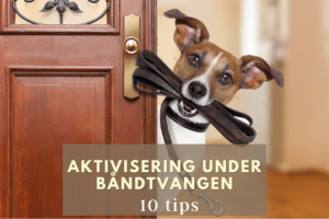 Aktivisering under båndtvangen