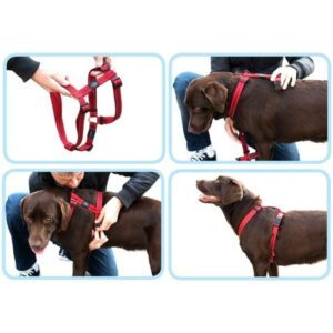 ROGZ UTILITY SELE, 10 farger, 4 størrelser