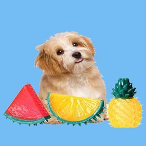 Avkjølingsleker hund-Sitron-Ananas-Vannmelon
