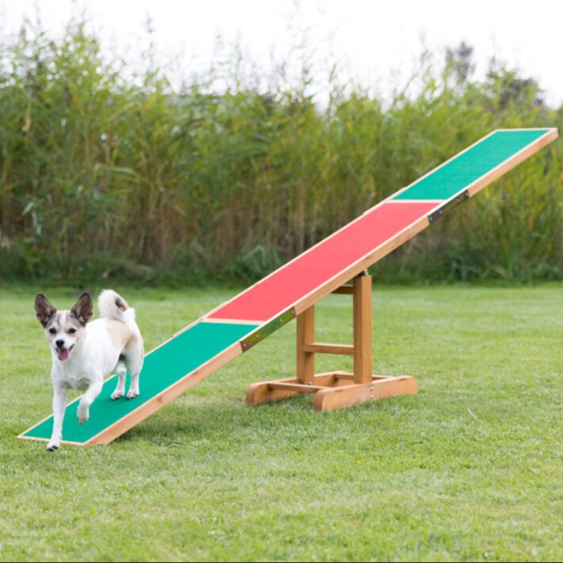 Trixie Fun Agility Seesaw Vippe til hund - Bilde 5