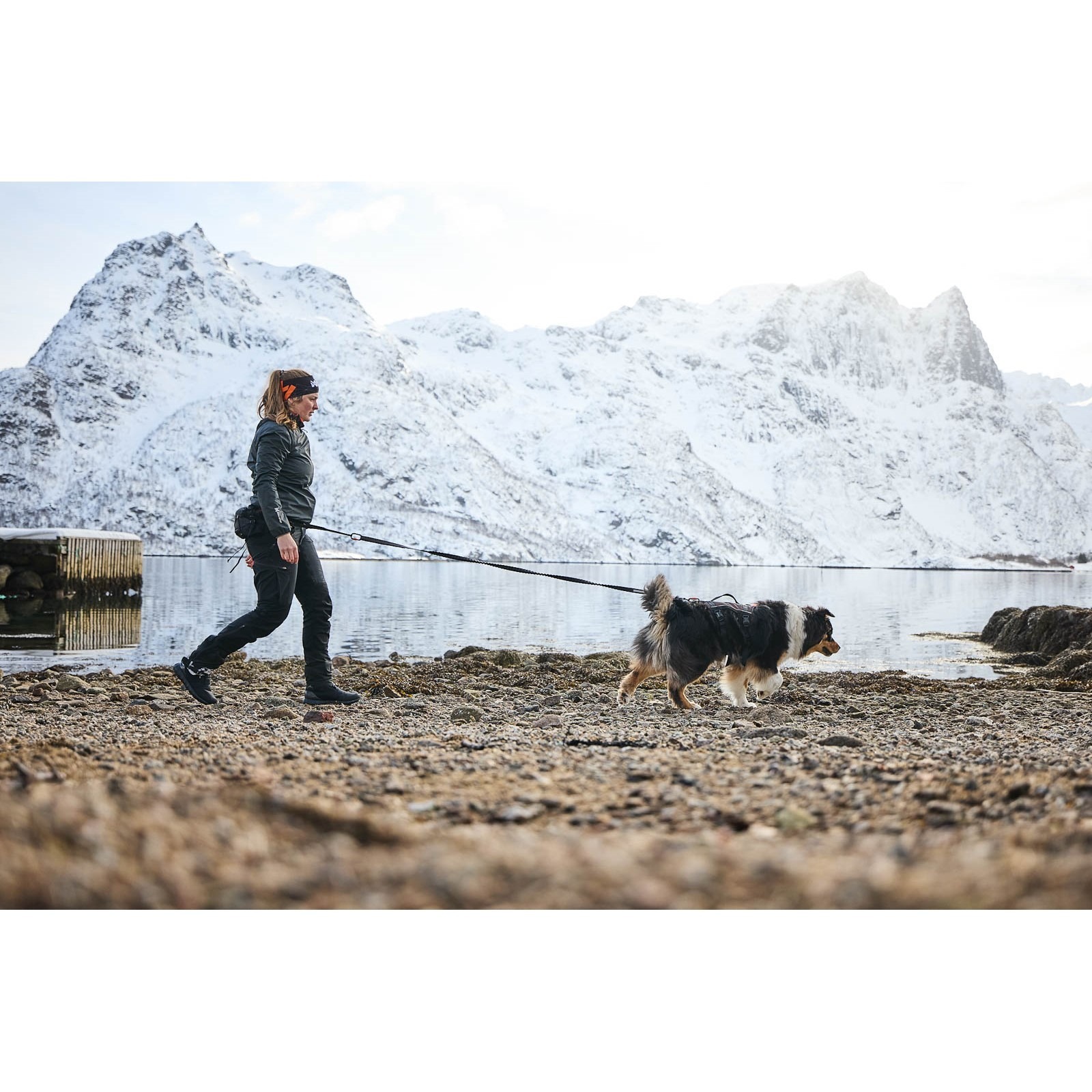 Non-Stop Dogwear Trail Light Belt Turbelte Trekk Hund - Bilde 8