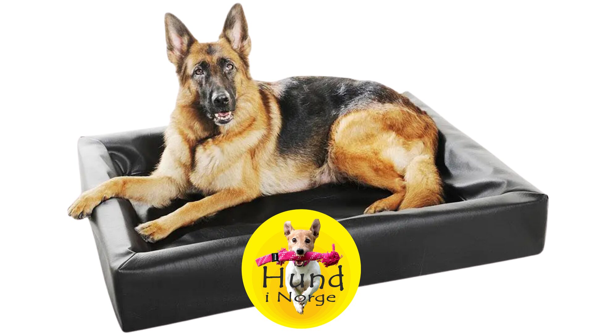 Hundesenger, hundemadrasser & hundetepper