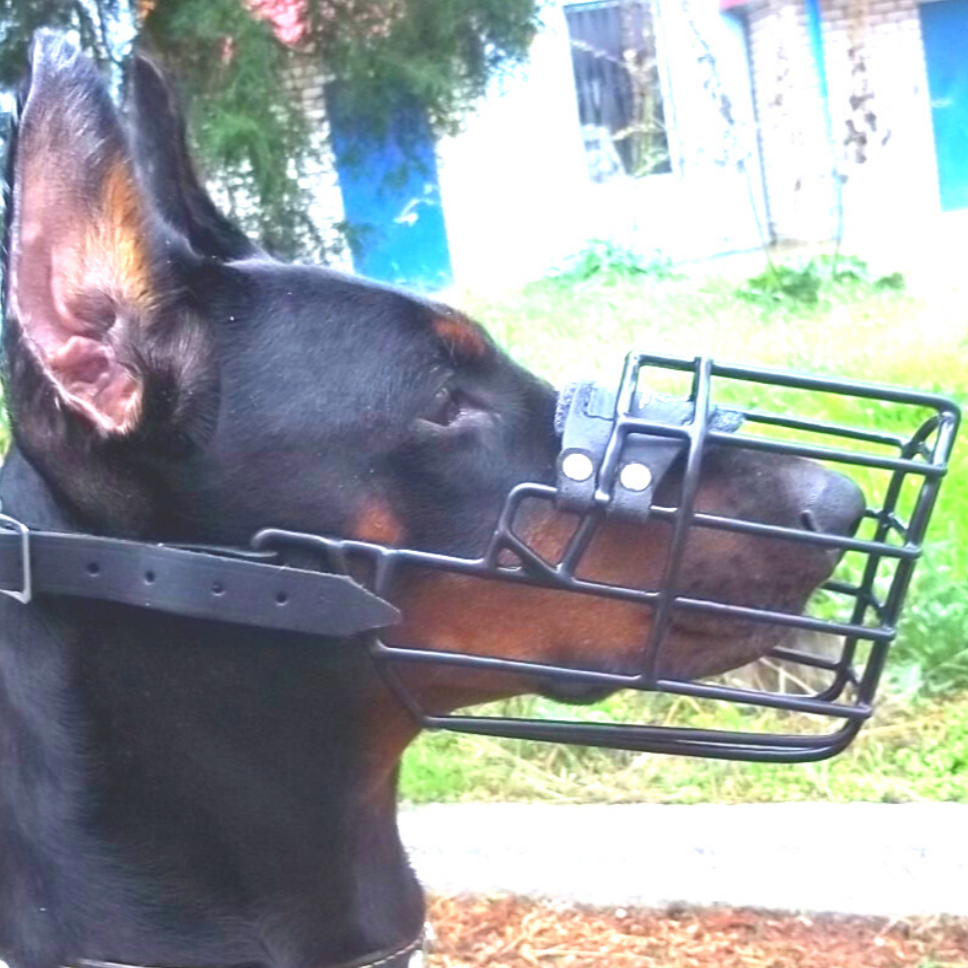 Gappay munnkurv metall.................png