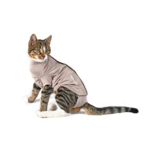 BUSTER Body Suit Step'n Go til katt