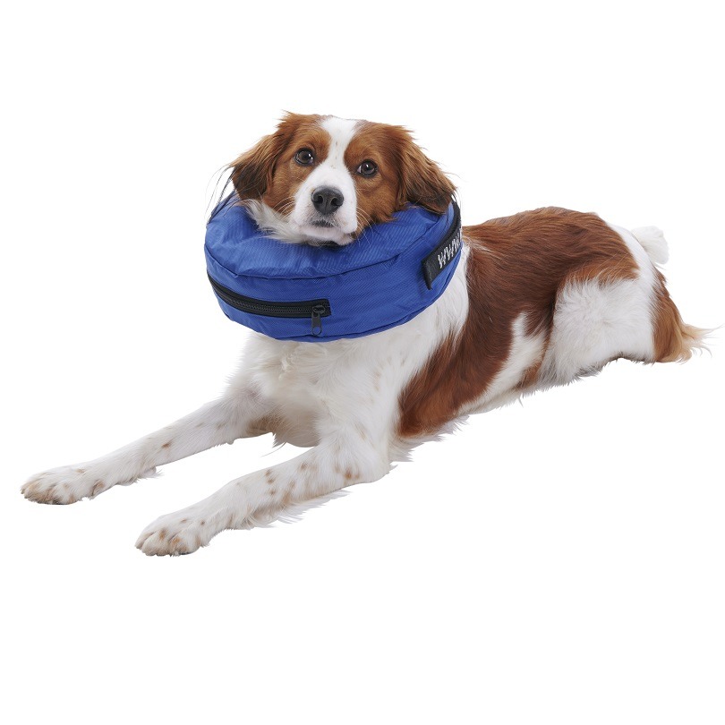 Buster Oppblåsbar Krage Nylon