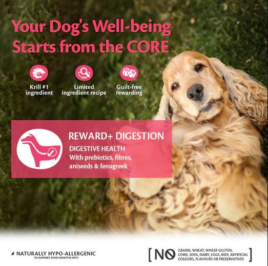 CORE Reward+ Treats Digestion - 8 x 170gram