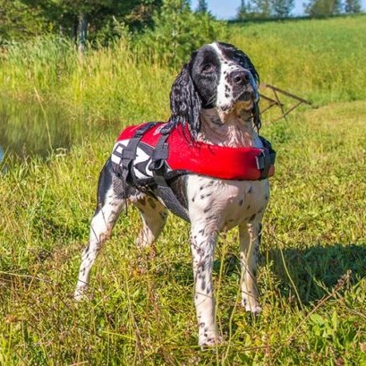 Ezydog Redningvest Flytevest til hund