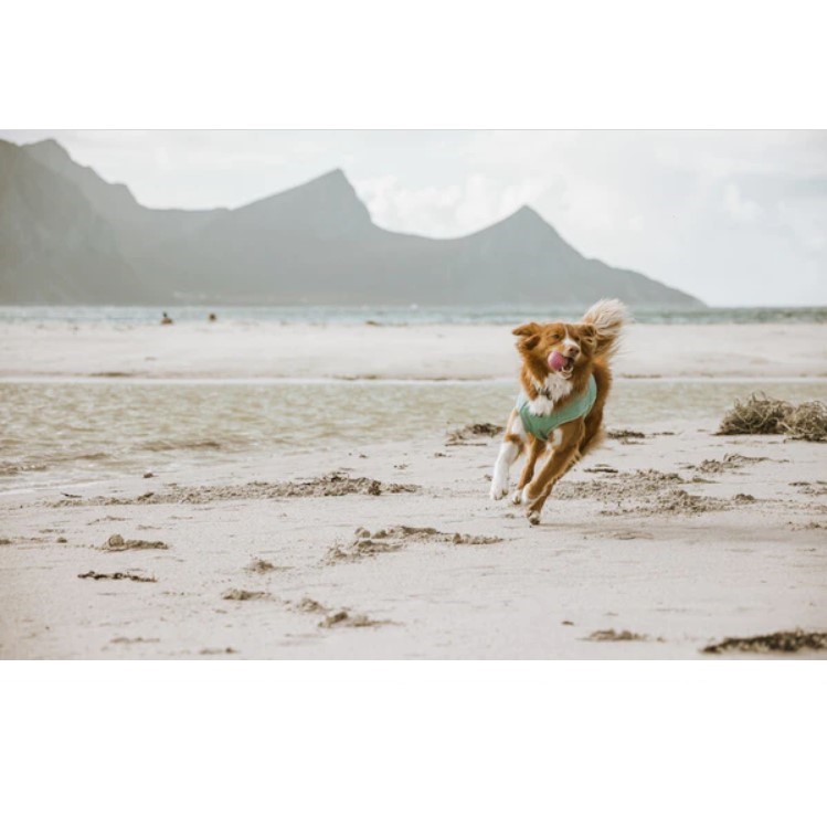 Hurtta Cooling Wrap - Kjølevest til hund