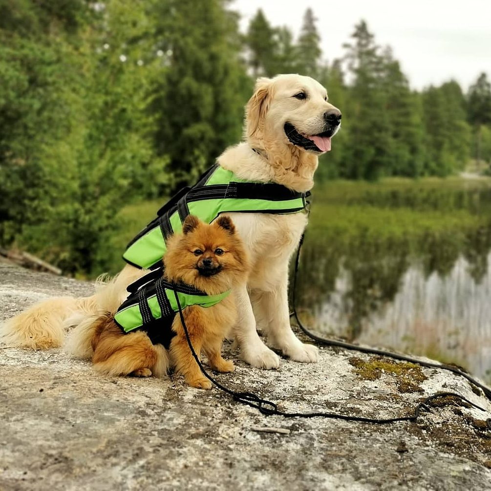 Rukka Flytevest Redningsvest Hund