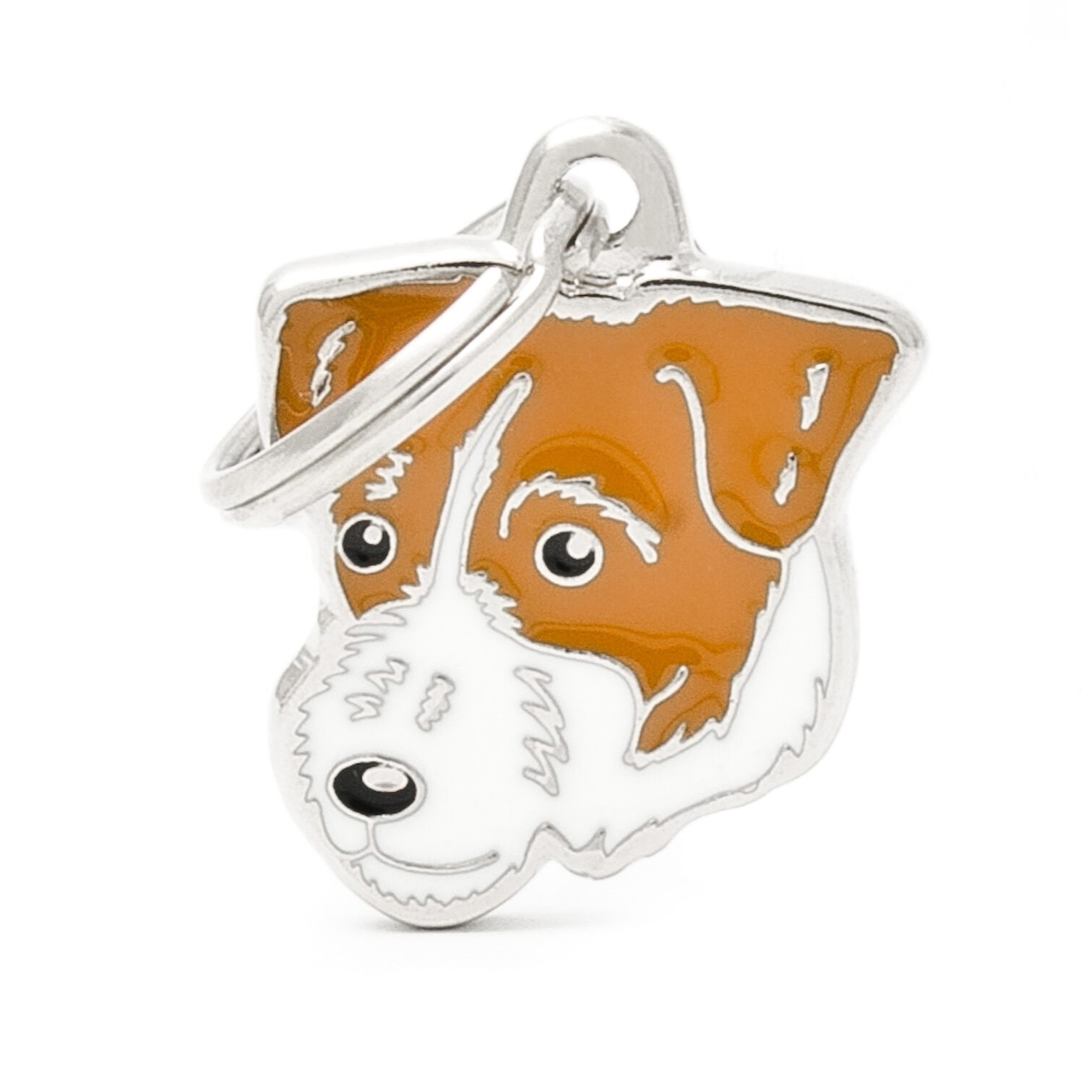 Myfamily Jack Russell terrier