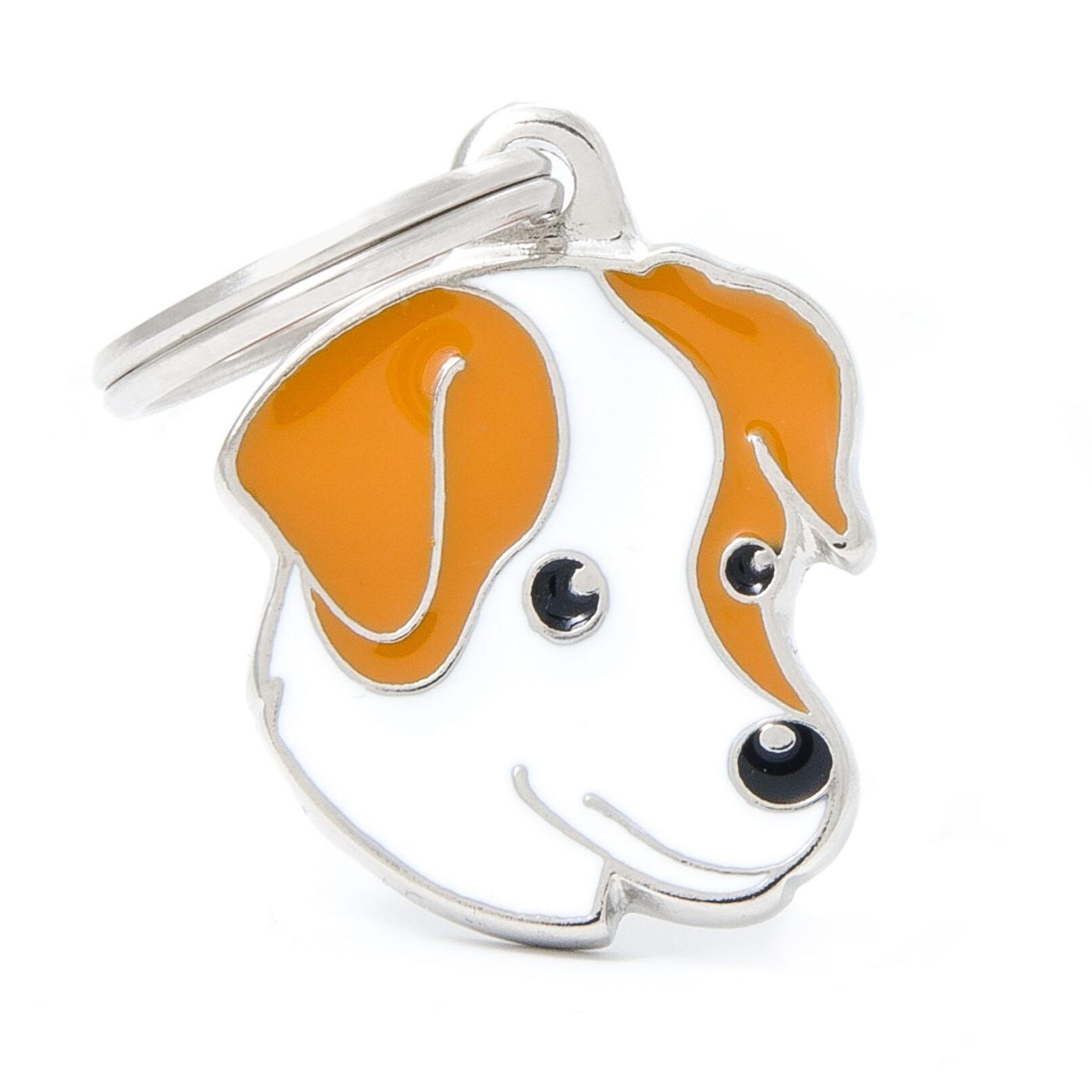 Myfamily Jack Russell terrier