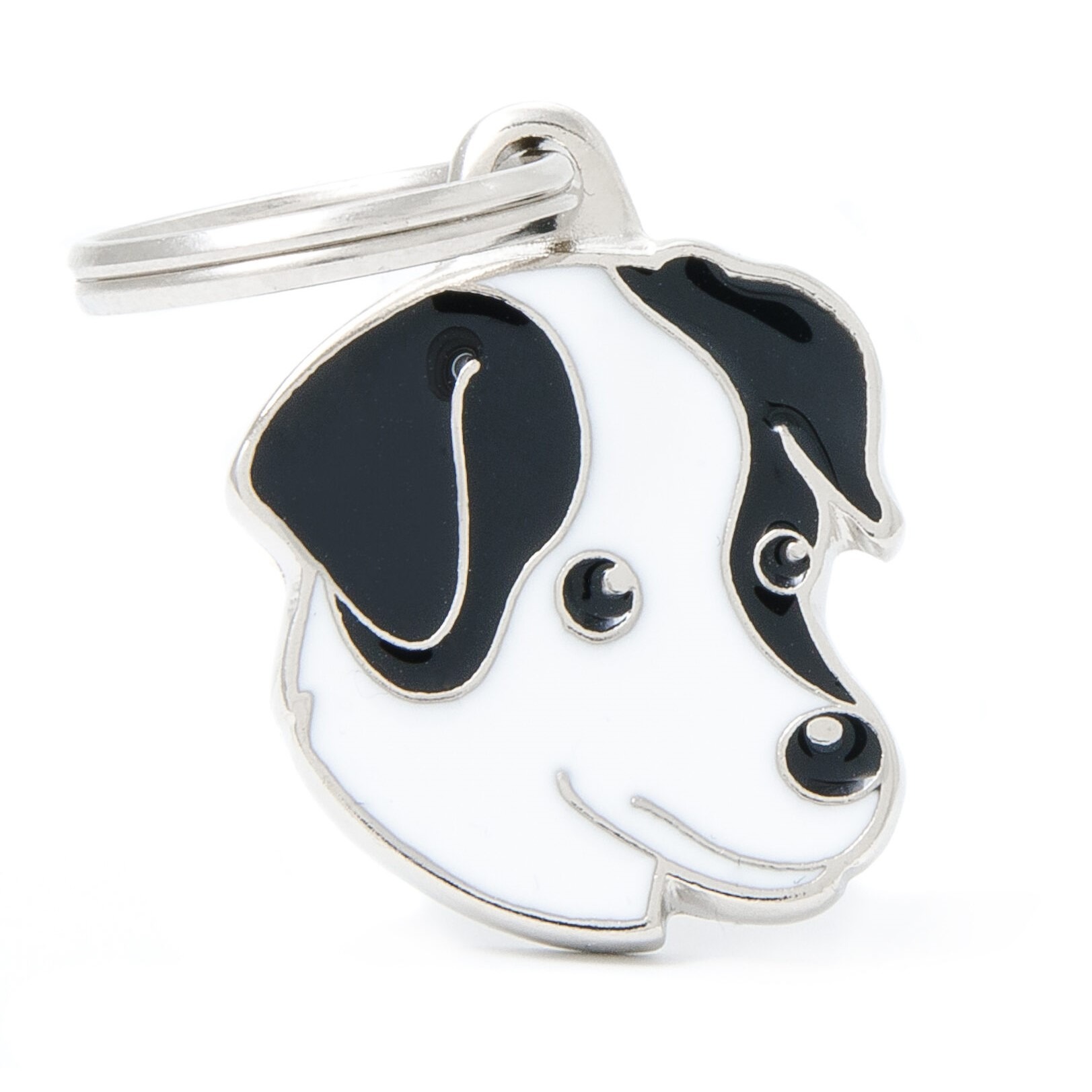 Myfamily Jack Russell terrier