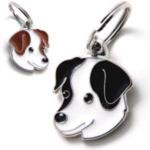 Myfamily Jack Russell terrier