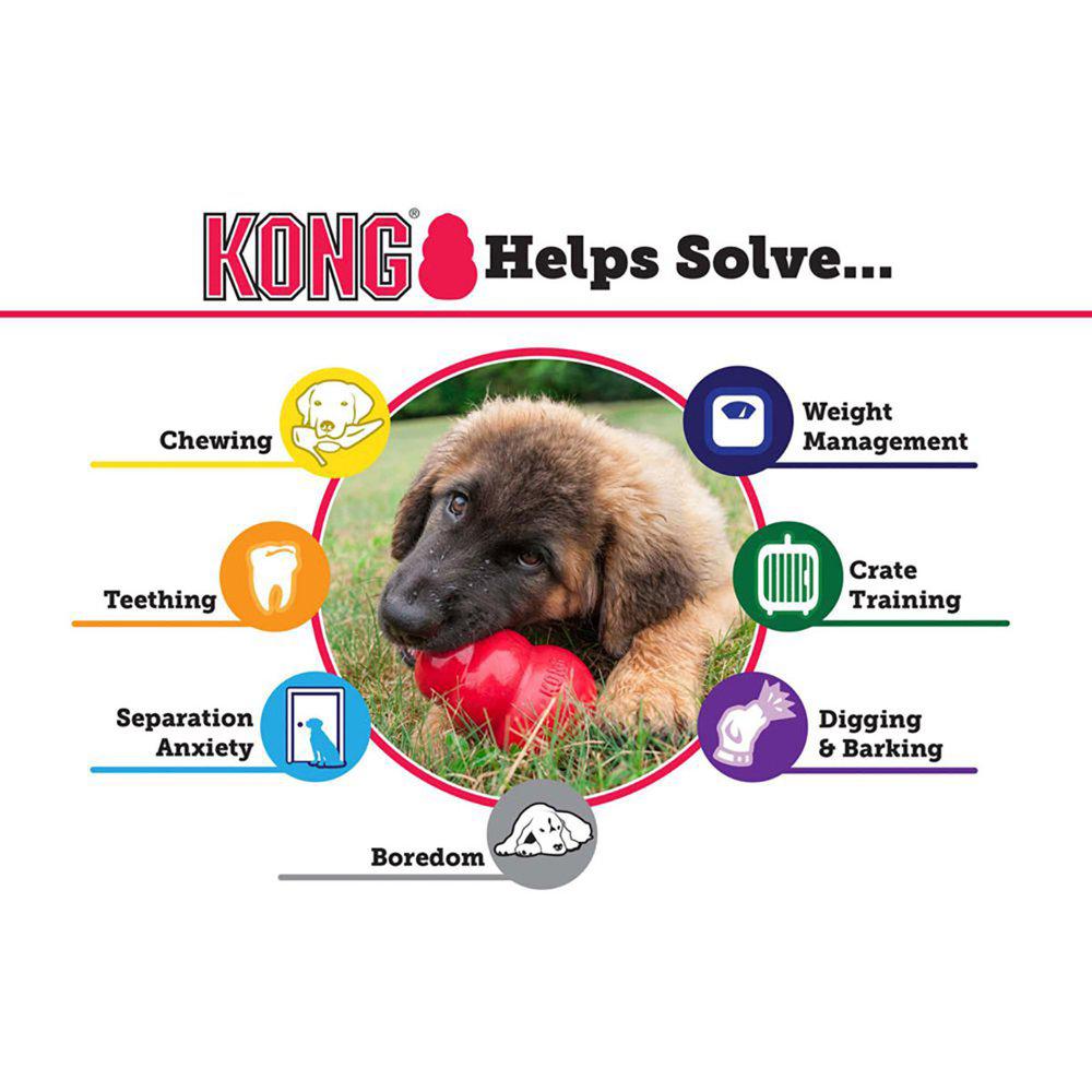 Kong Puppy Aktivitetsleke
