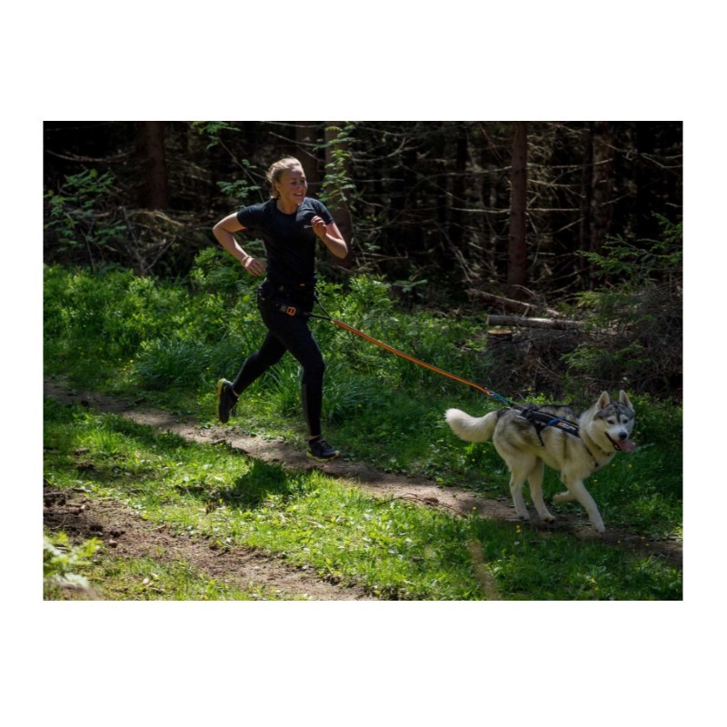 Non-Stop Dogwear CaniX - Canicross Long Tights