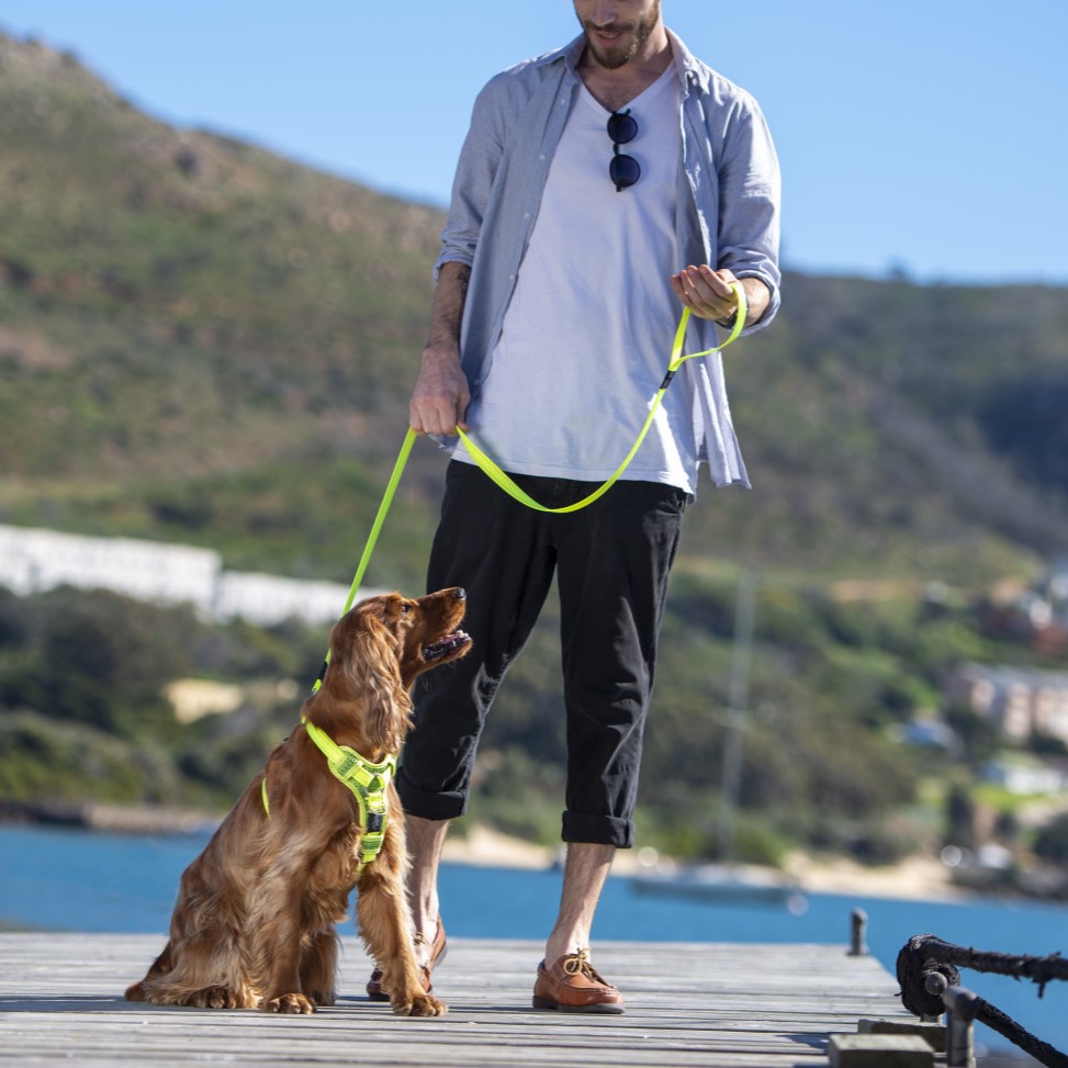 Rogz Utility kobbel (flere farger og størrelser)