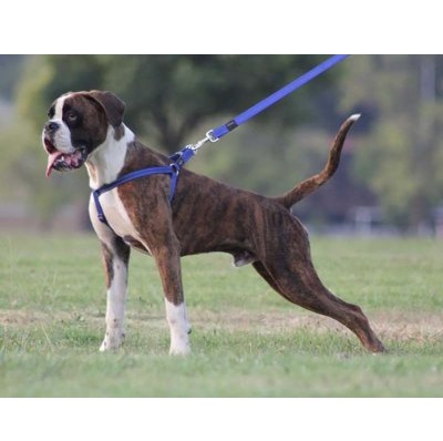 Rogz Utility kobbel (flere farger og størrelser)