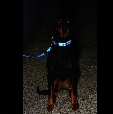 Rogz Utility kobbel (flere farger og størrelser)