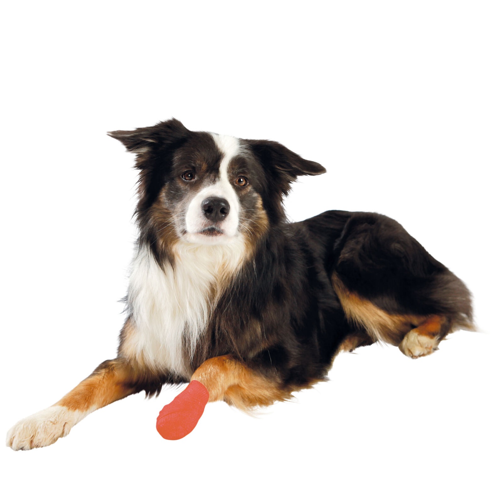 Trixie Bandasje 5cm x 4.5 meter