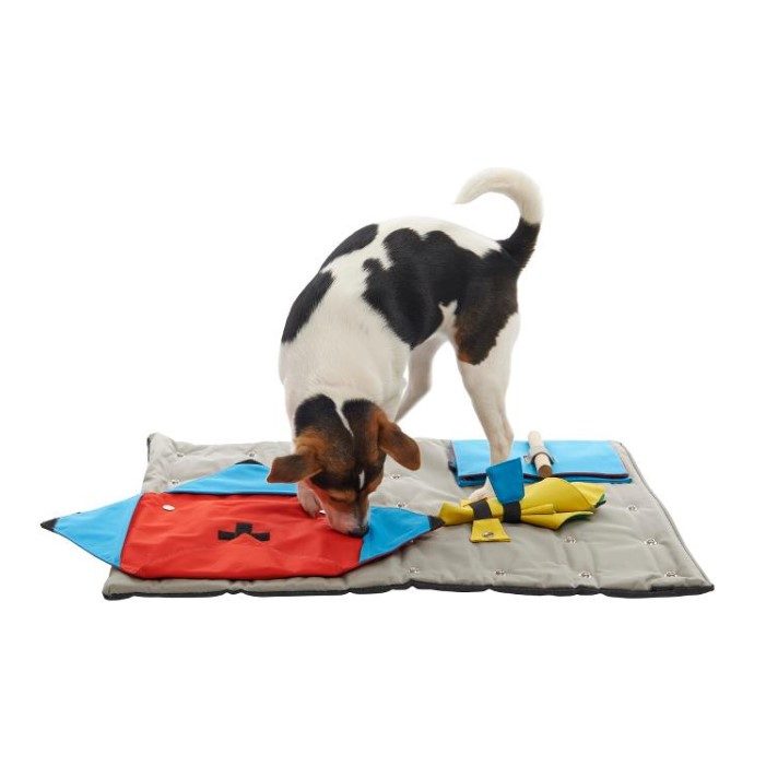 Buster ActivityMat Startersett Aktivitetsmatte Hjernetrim Hund