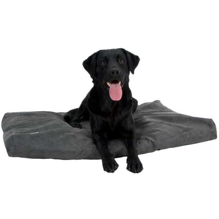 Buster-Kruuse Memory Foam Hundeseng Madrass
