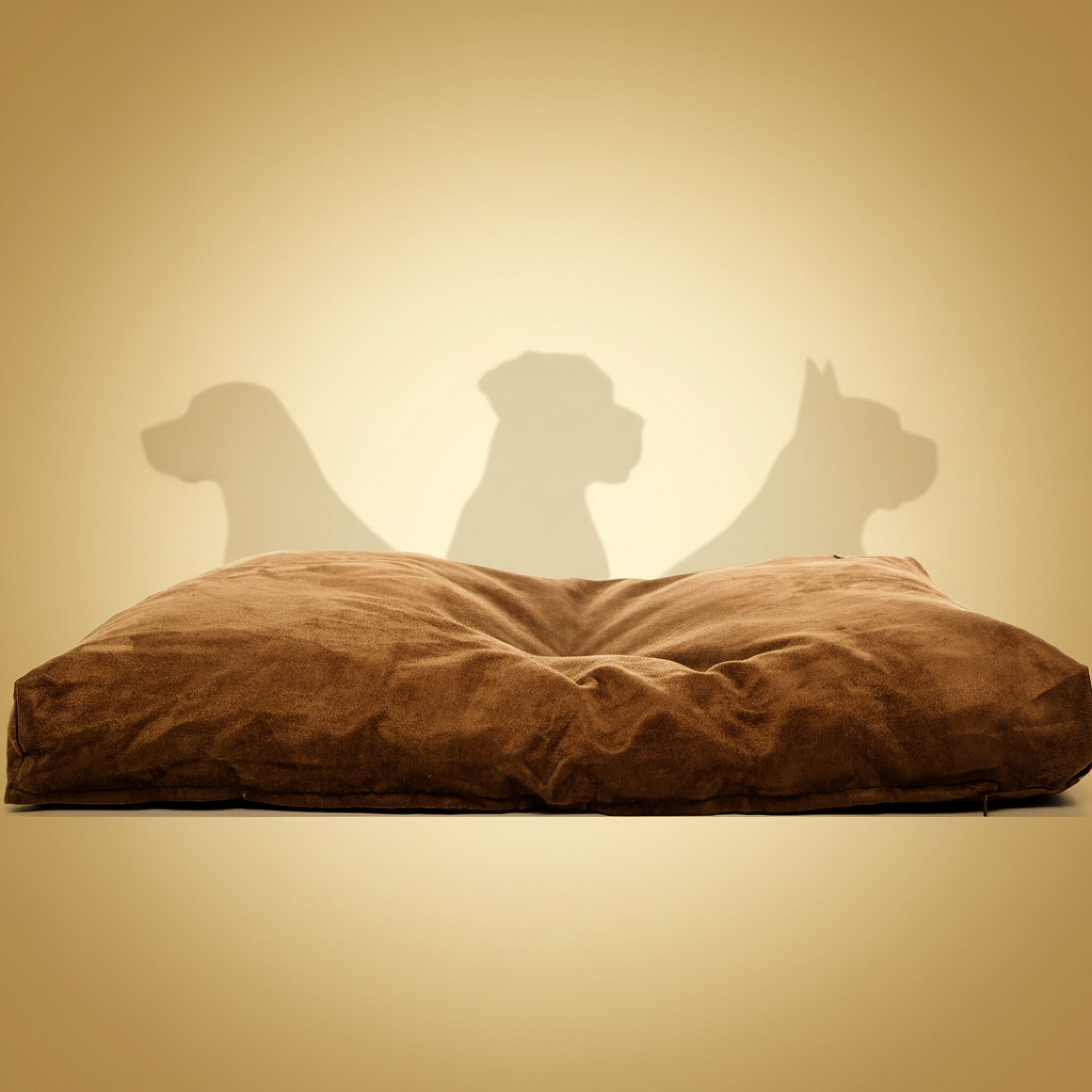 Buster-Kruuse Memory Foam Hundeseng Madrass