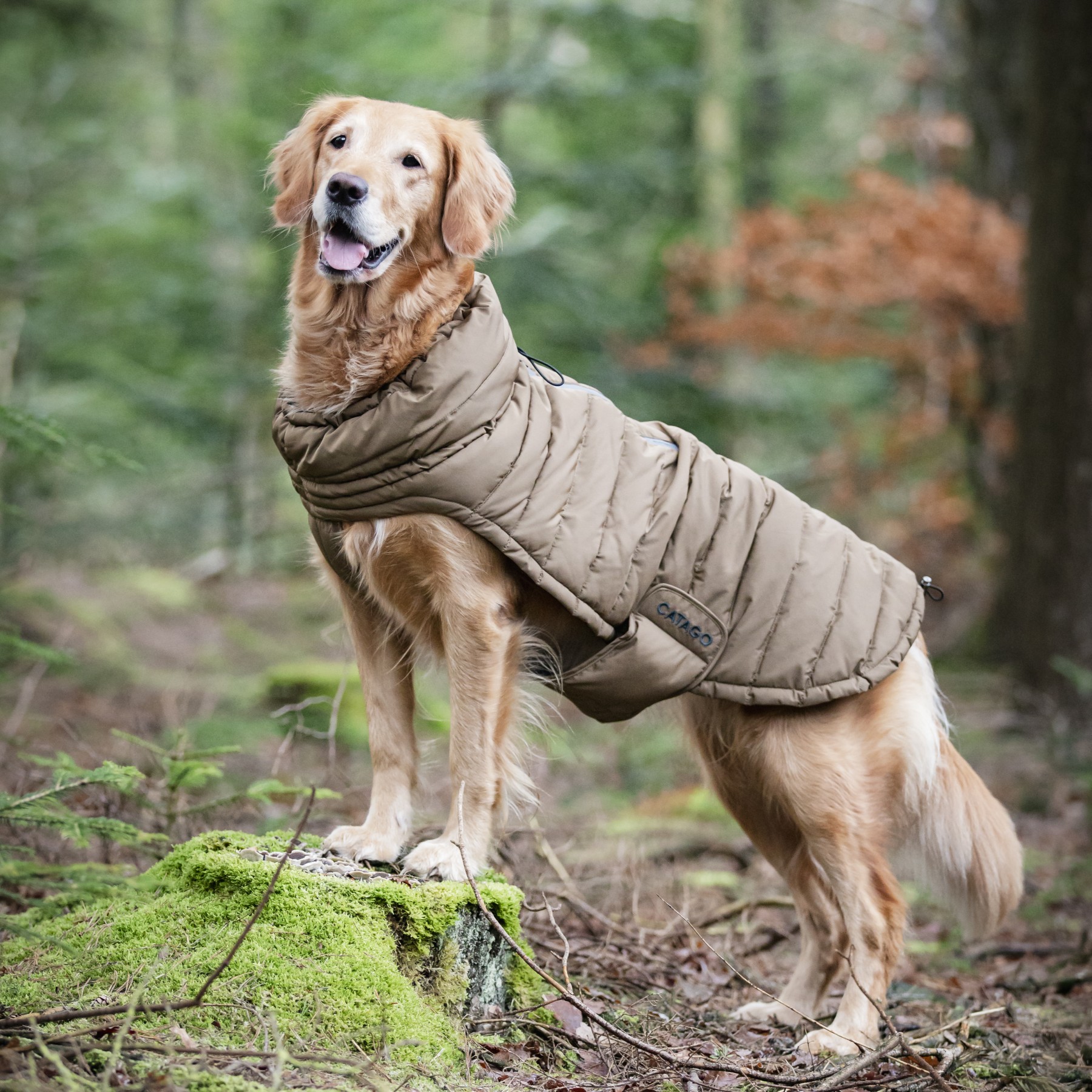 CATAGO FIR-Tech puffer hundedekken