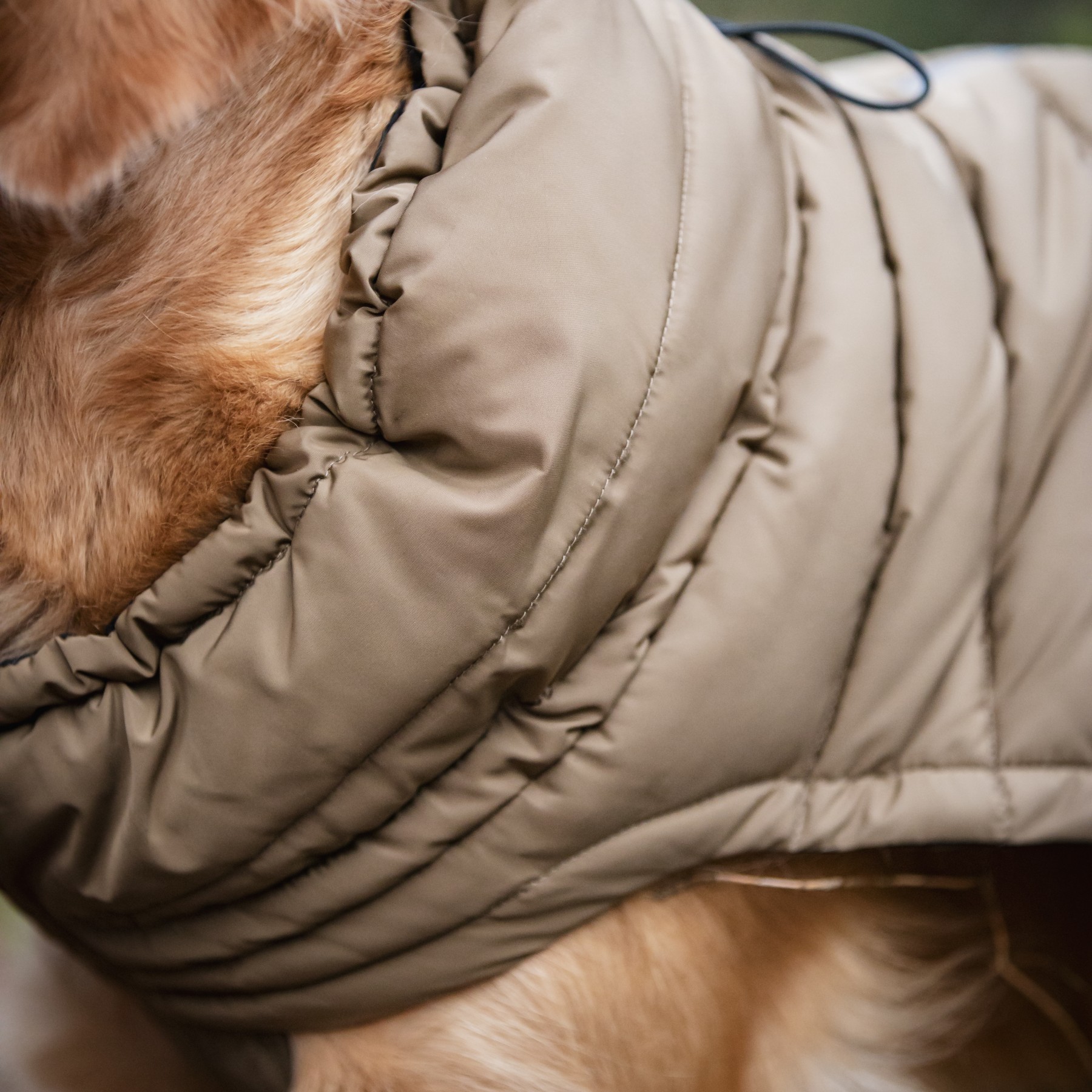 CATAGO FIR-Tech puffer hundedekken
