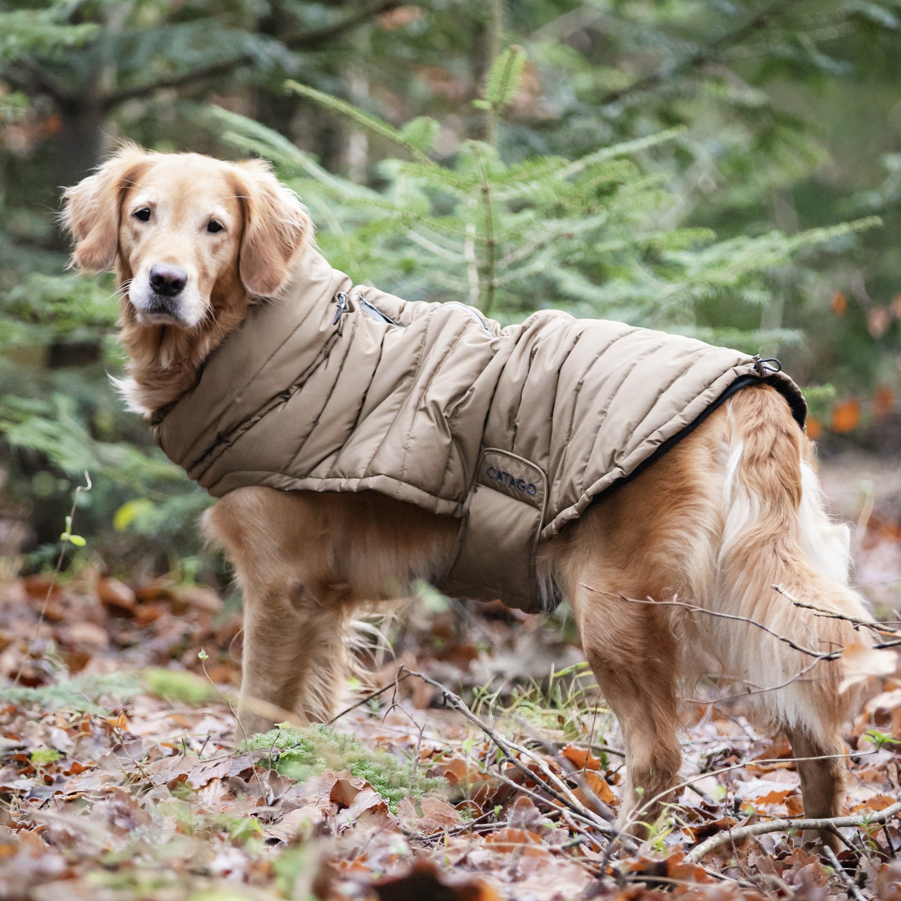 CATAGO FIR-Tech puffer hundedekken
