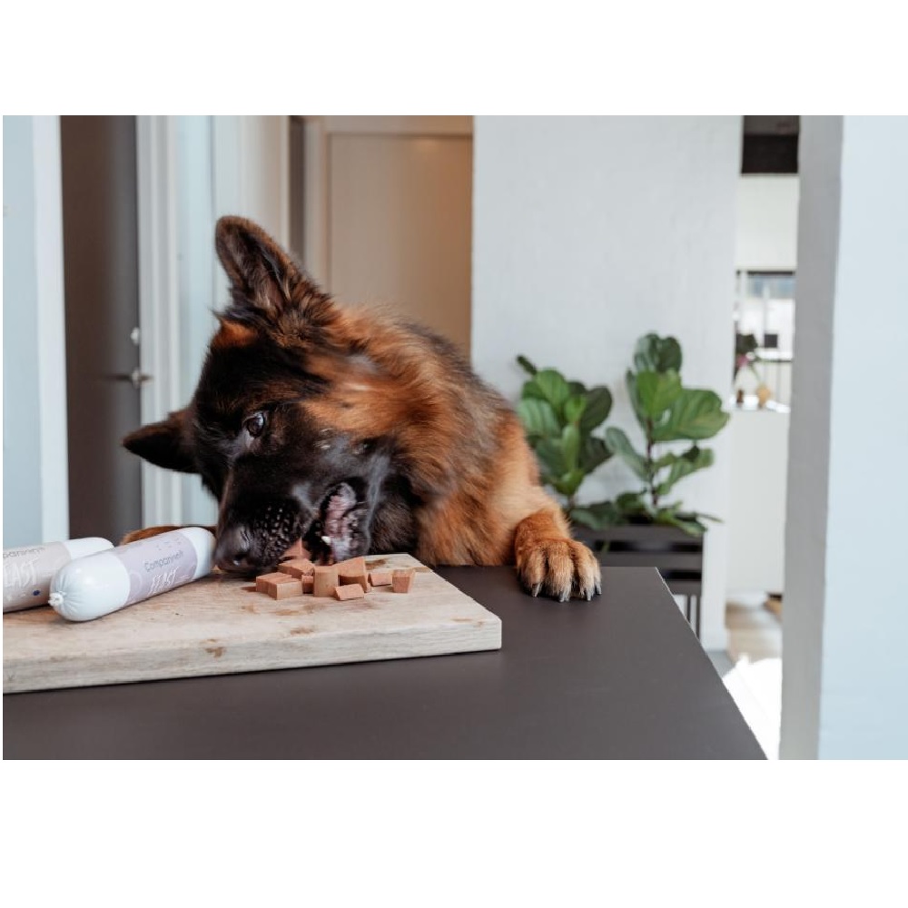 Companion+ FEAST hundepølse 350gram - Hjort