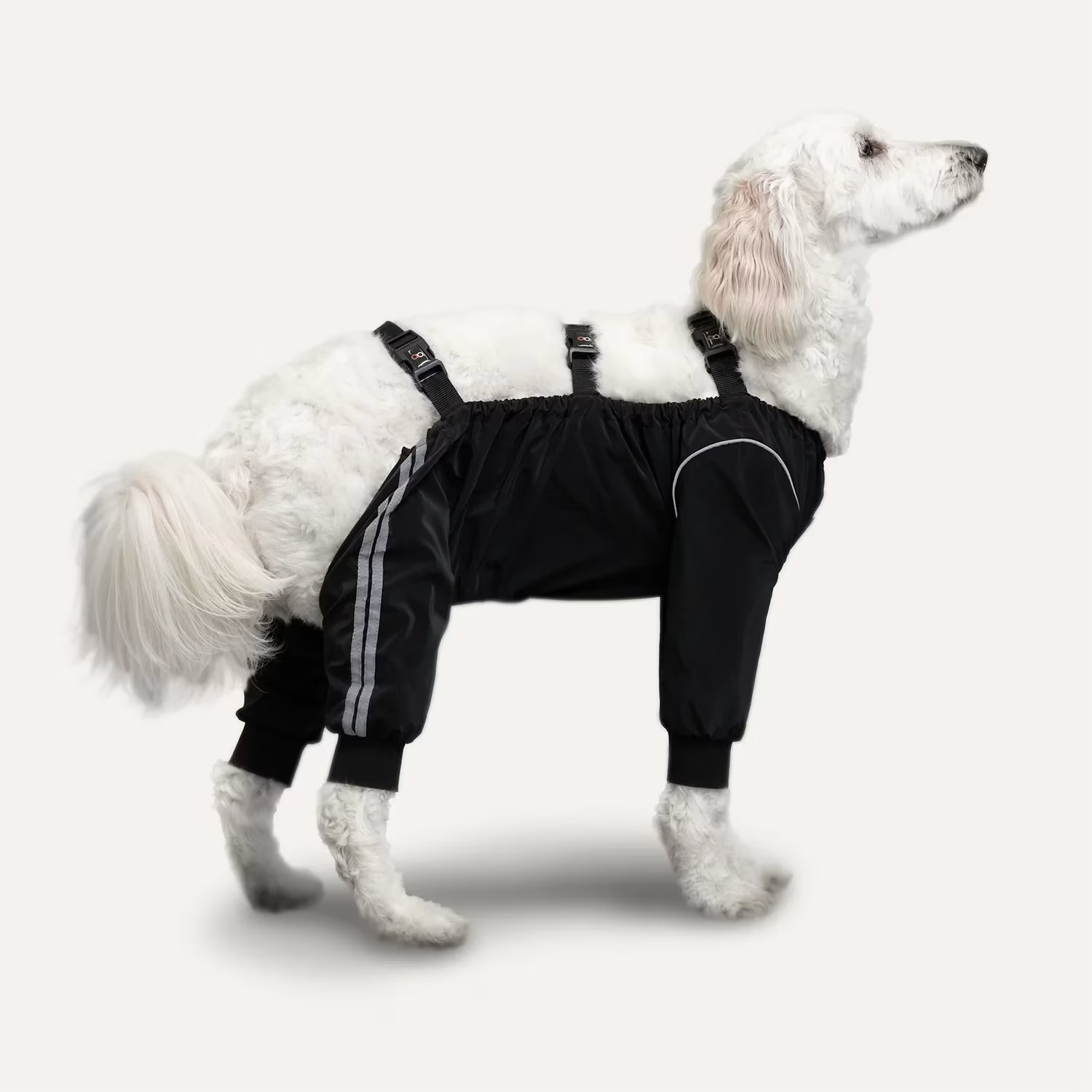 Goo-Eez Refleks Splash Hundebukse