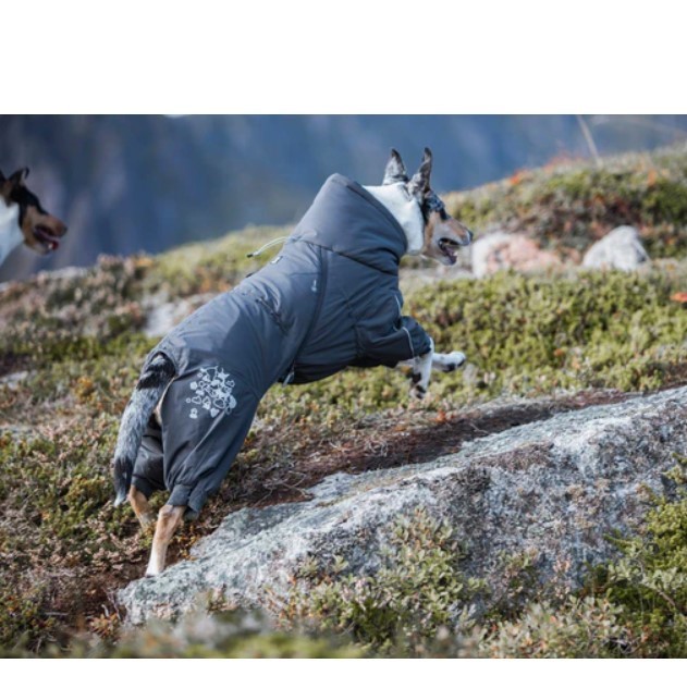 Hurtta Extreme Overall Vinterdekken Hund