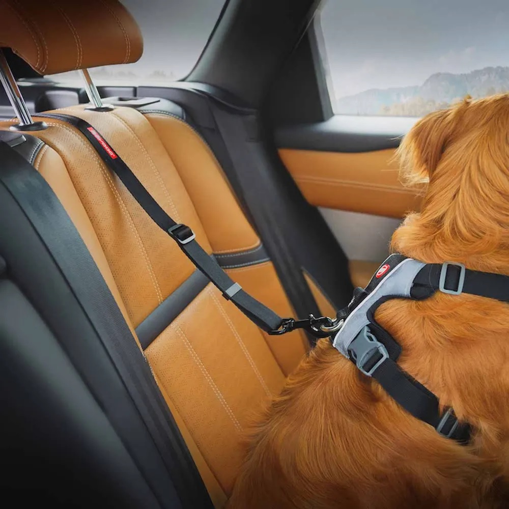 Ezydog Isofix sikkerhetsbelte bilbelte