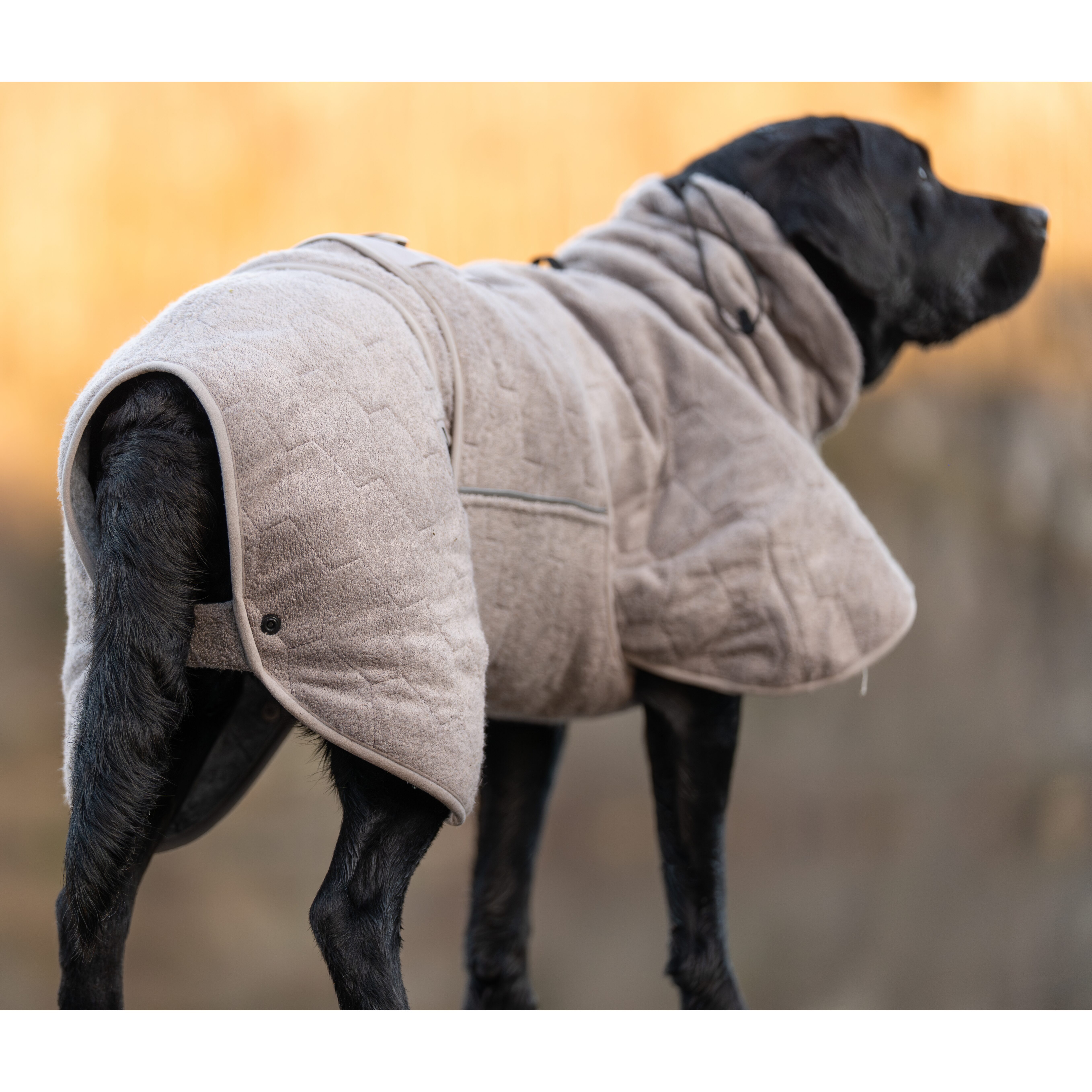 Non-Stop Dogwear Drying Coat Tørkedekken til hund