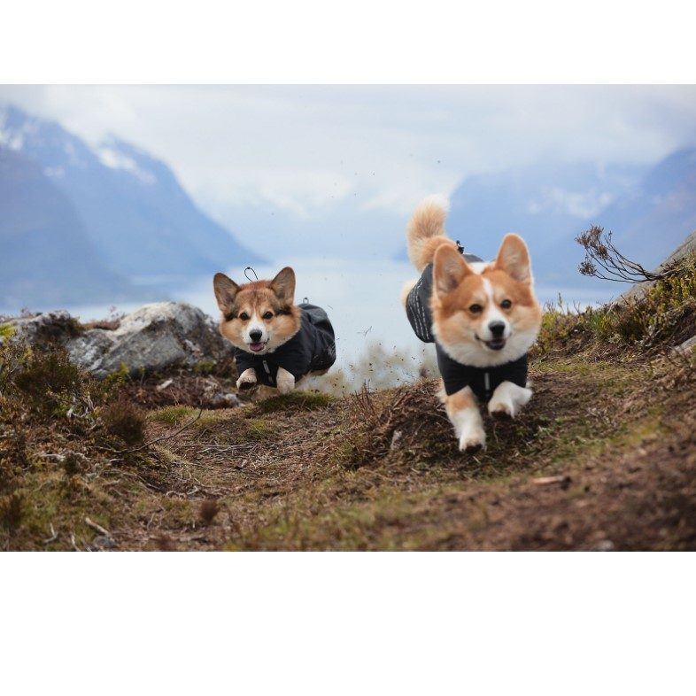 Non-Stop Dogwear Fjord Raincoat Regndekken Oransje-Sort