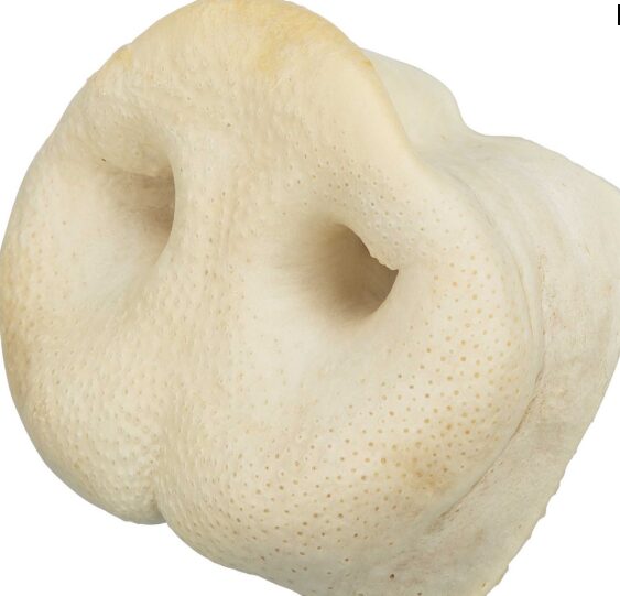 Trixie Tørket Grisetryne