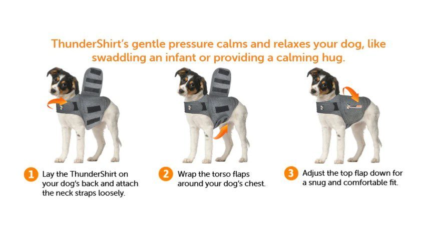 Thundershirt til hund