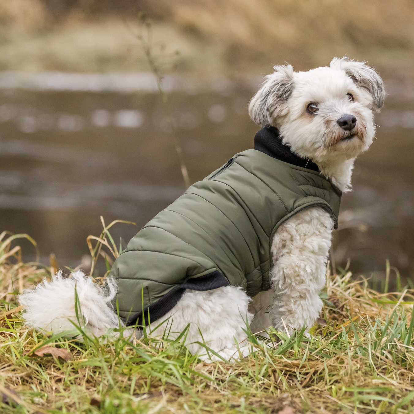 Trixie Arlay hundedekken