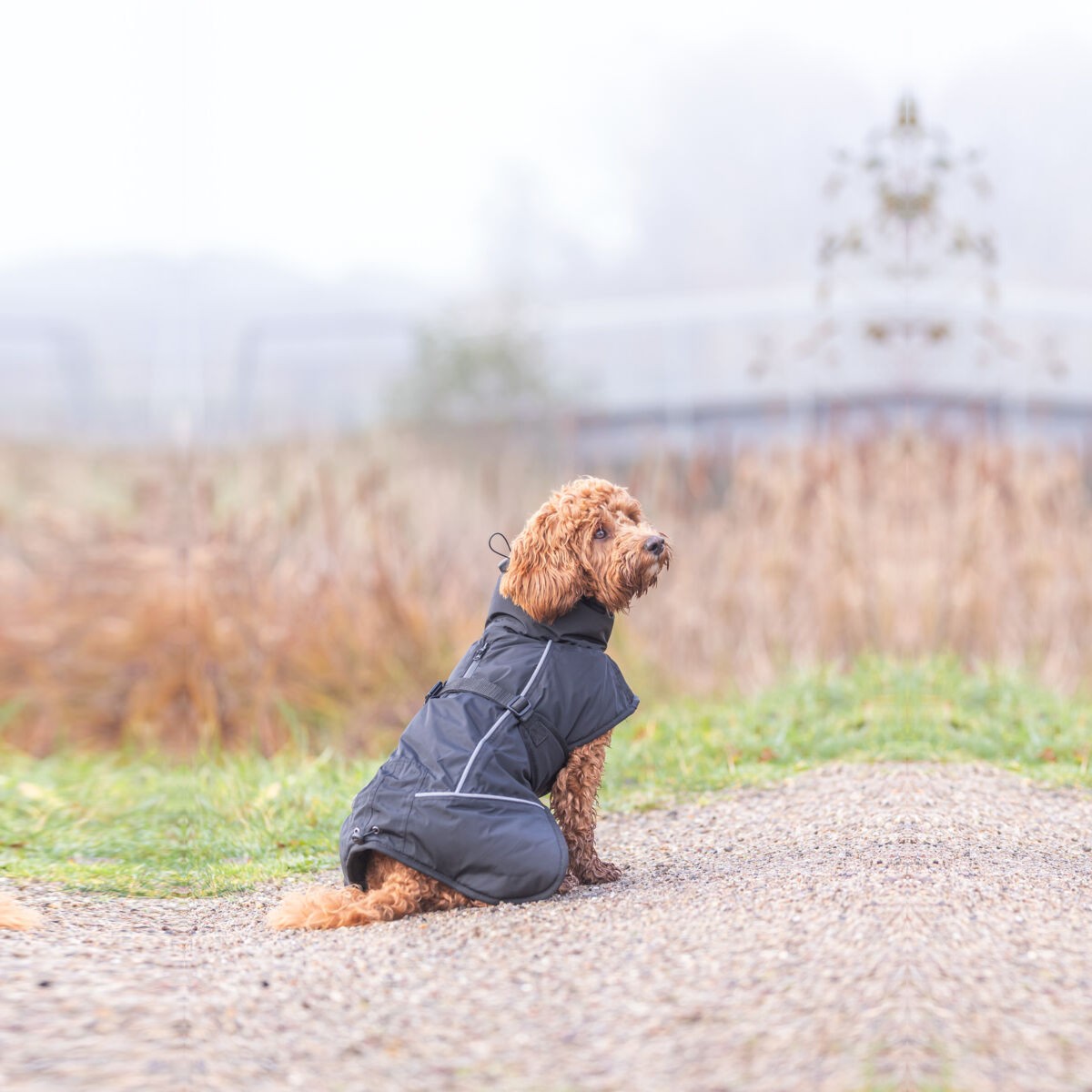 Trixie Brizon 2.0 Vinterjakke til Hund - Varm og Vanntett