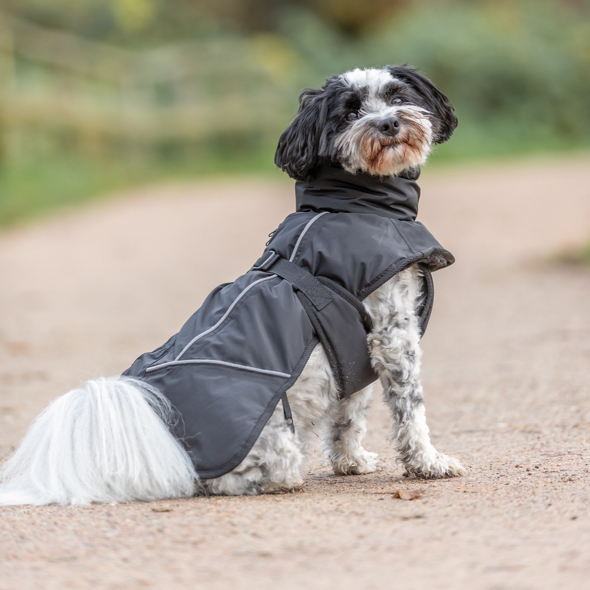 Trixie Brizon 2.0 Vinterjakke til Hund - Varm og Vanntett