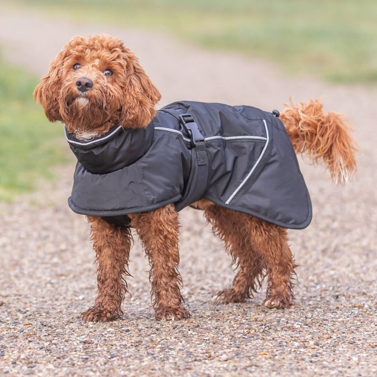 Trixie Brizon 2.0 Vinterjakke til Hund - Varm og Vanntett