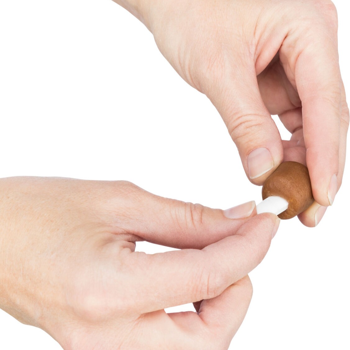 Trixie Gjemmested for tabletter til hund - Hundesnacks