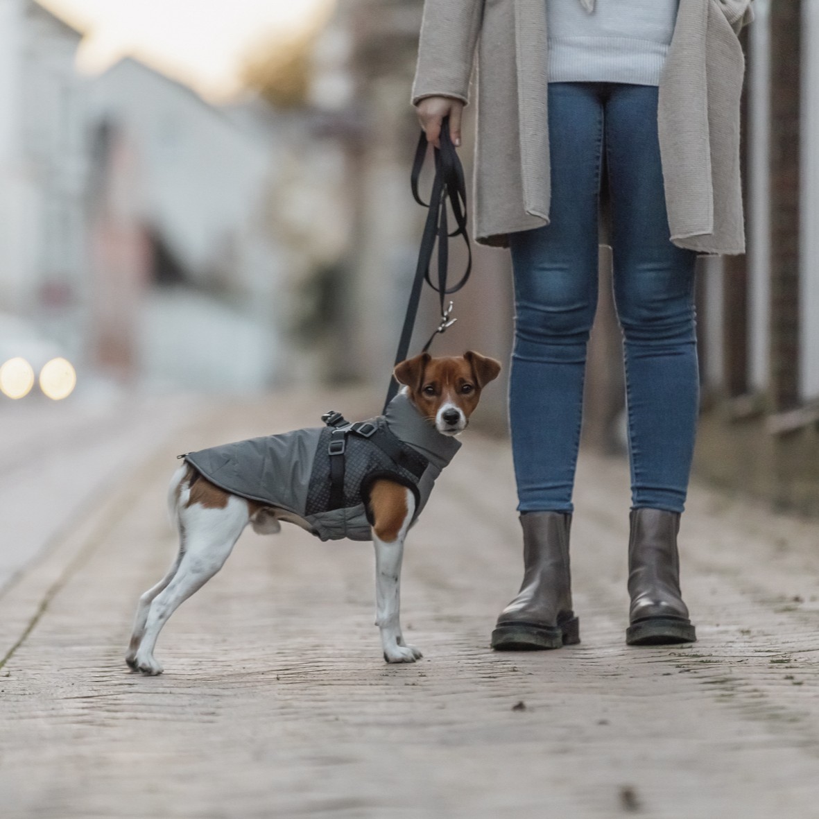 Trixie Vinterdekken med sele og refleks