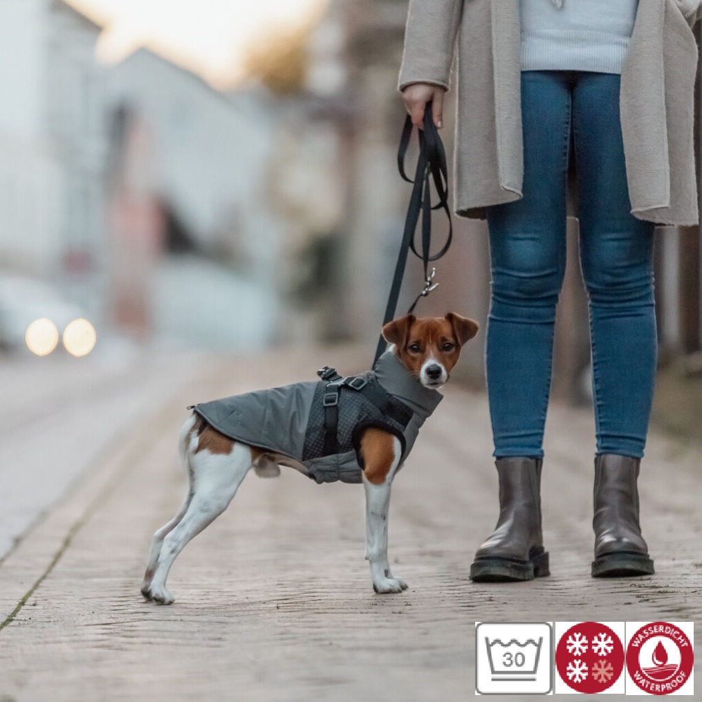 Trixie Vinterdekken med sele og refleks