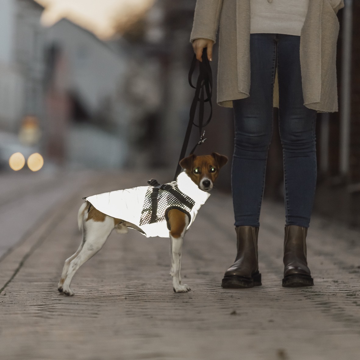 Trixie Vinterdekken med sele og refleks